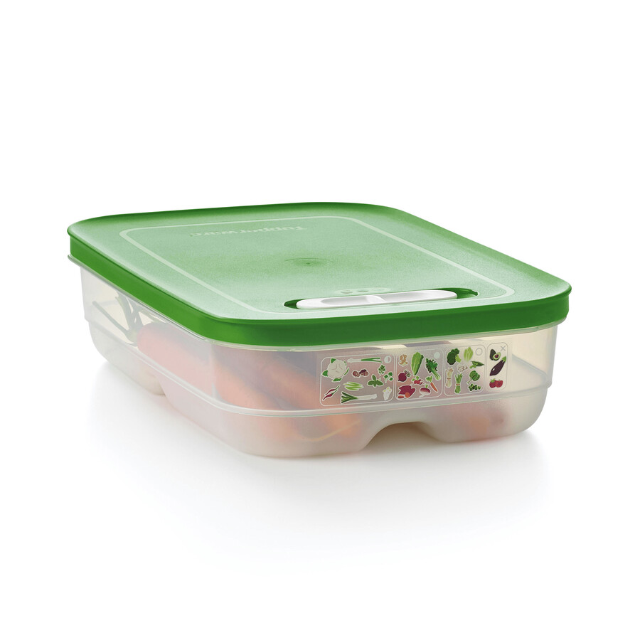 fridgesmart medium container wintergroen