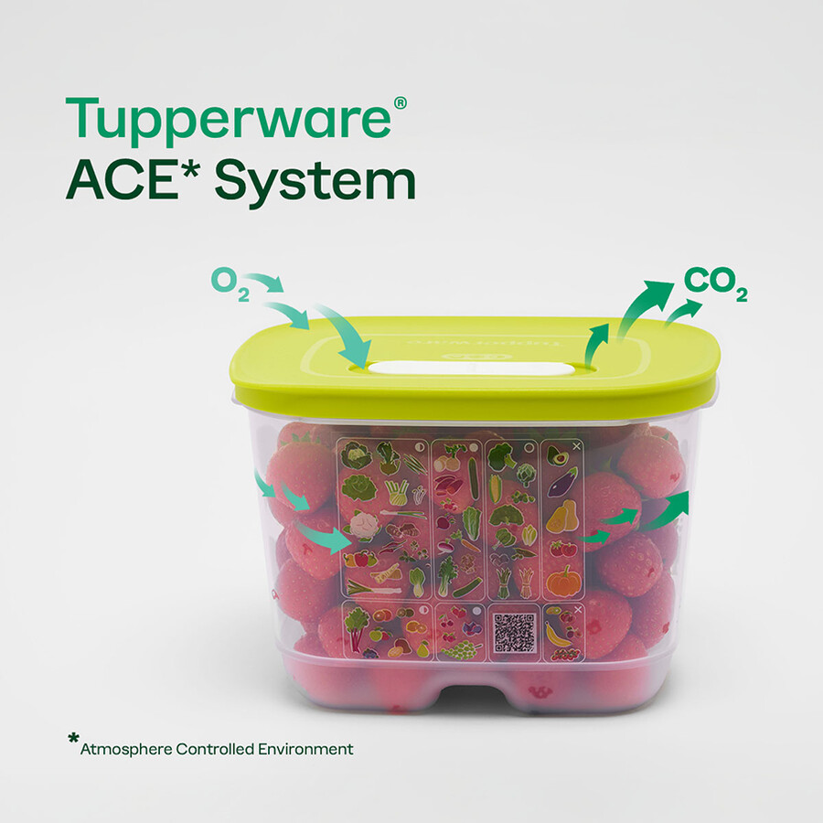 fridgesmart medium container wintergroen
