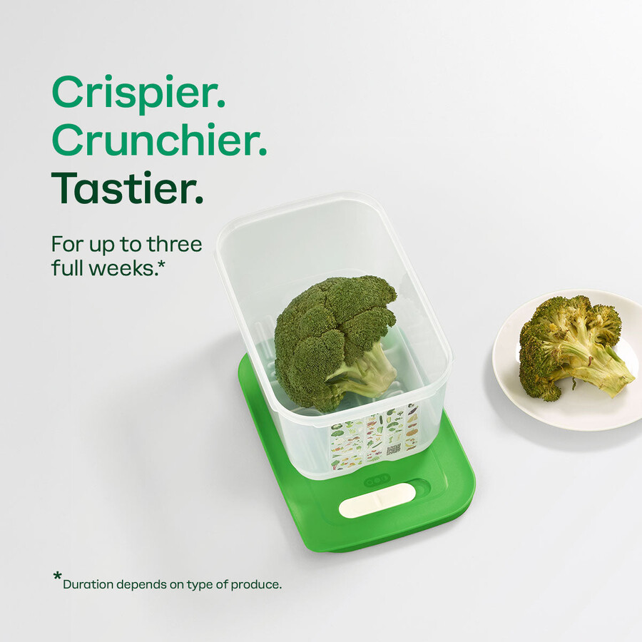 fridgesmart medium container wintergroen