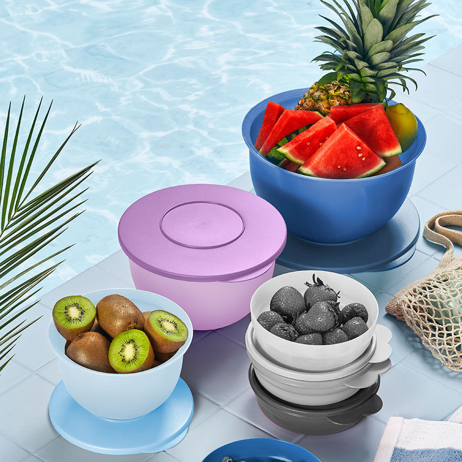 tupperware impressions classic kommenset sorbet dragonfly icelandic mist