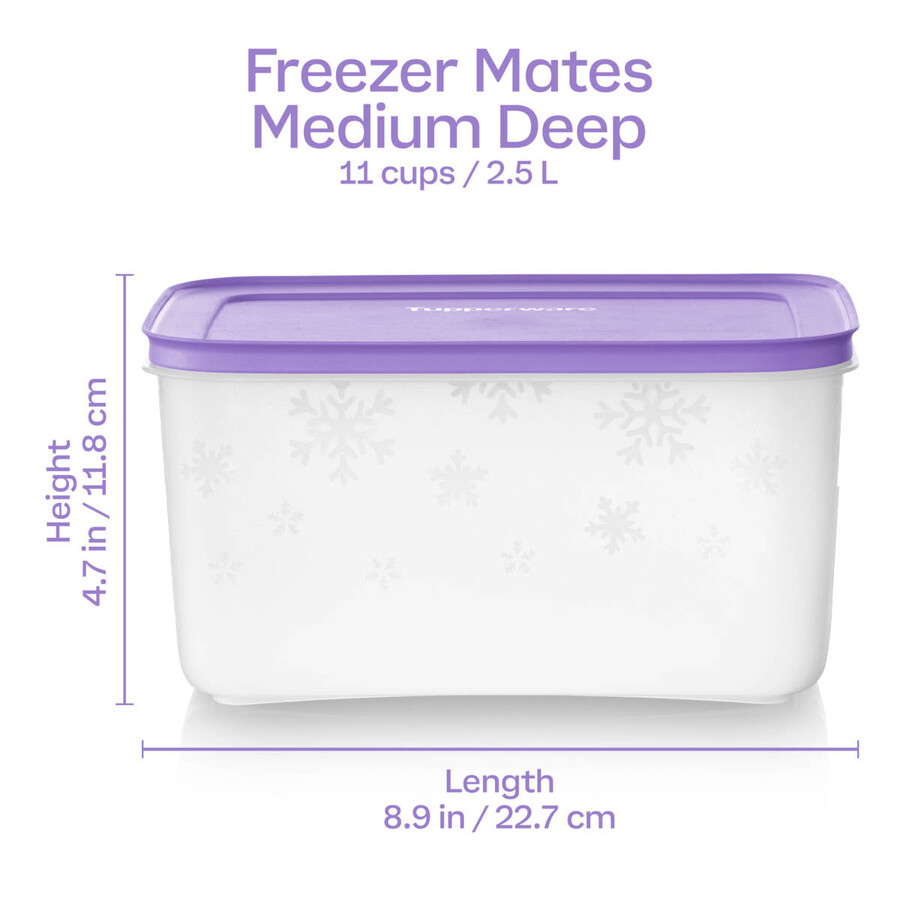 tupperware freezer mates plus medium diep voedselbewaarcontainer sorbetdeksel