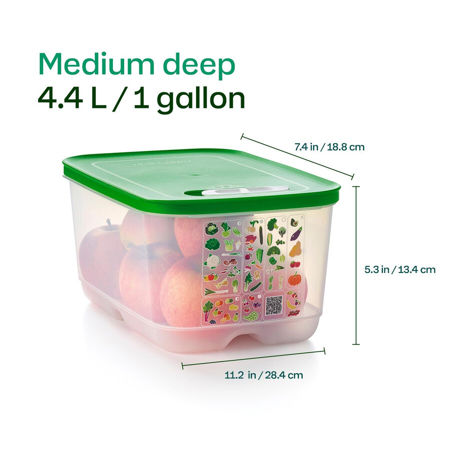 fridgesmart 4-delige startersset margarita klein diep winter green medium medium diep