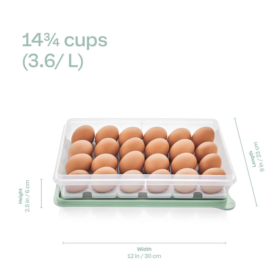 tupperware snack-stor grote opbergdoos met inzetstuk voor 3 eieren wilde moerbei