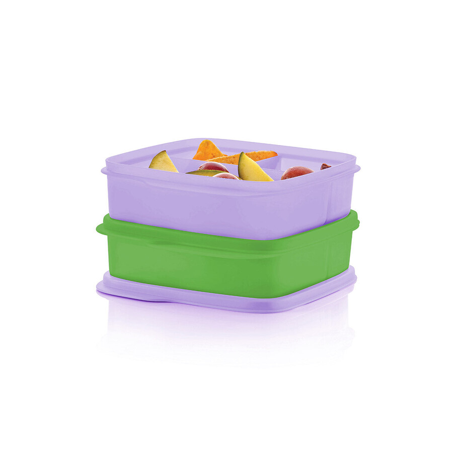 tupperware lunch-it containers