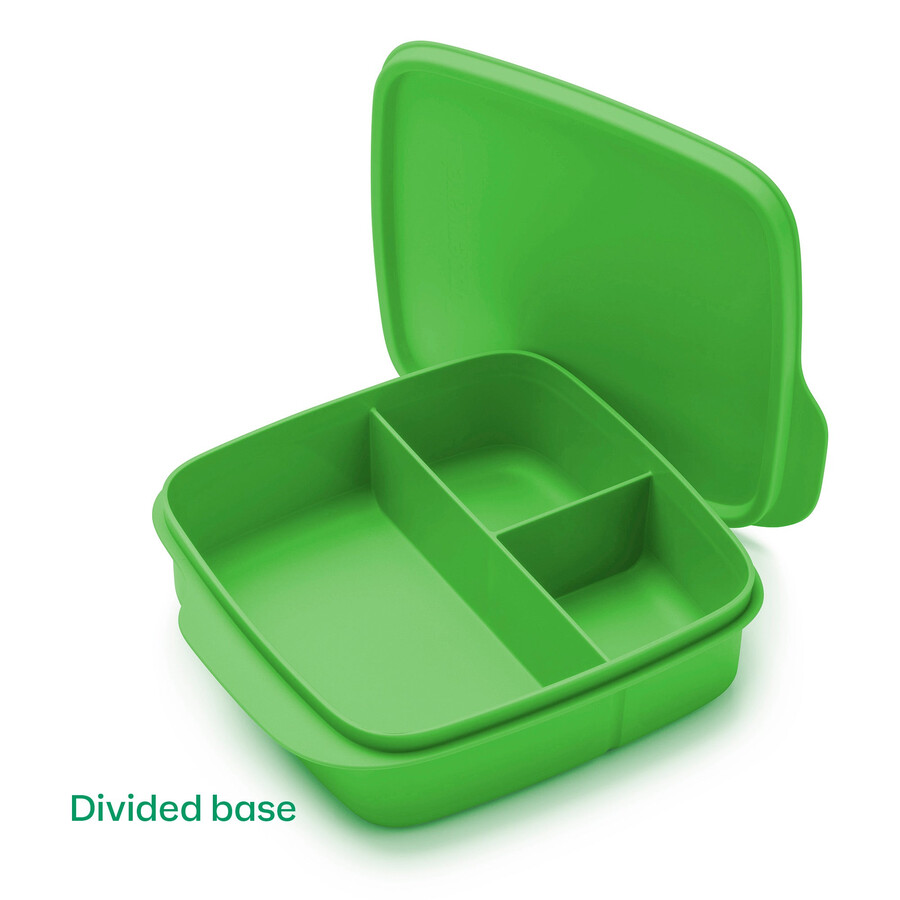 tupperware lunch-it containers