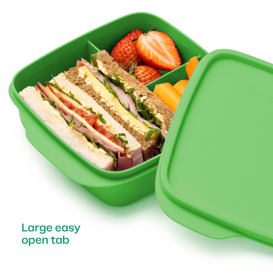 tupperware lunch-it containers