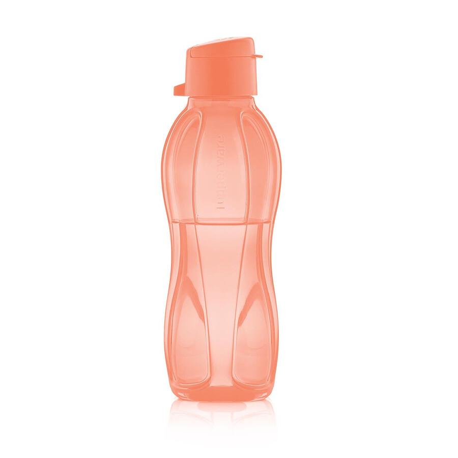 eco fles klein oranje
