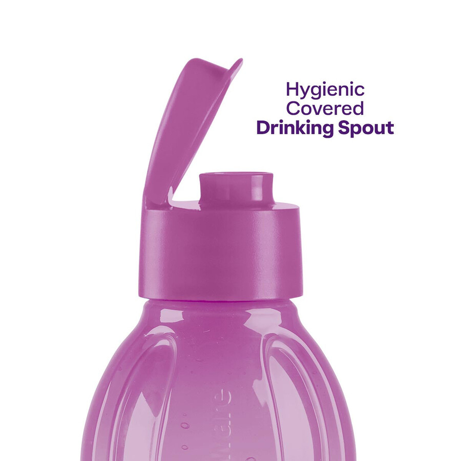 eco fles groot paars