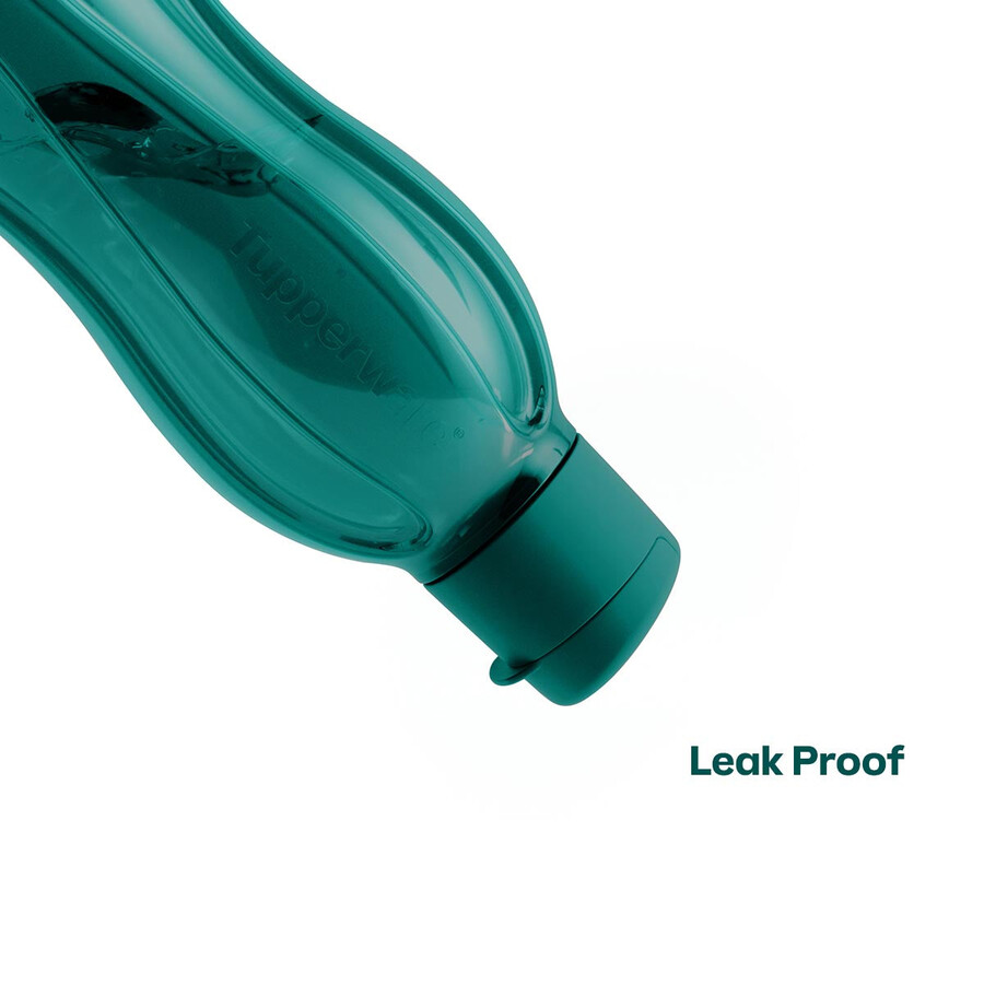 eco fles medium