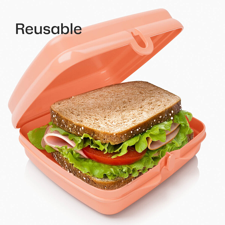 tupperware sandwich keepers - 2 gemakkelijk te openen lunchboxen voor kinderen